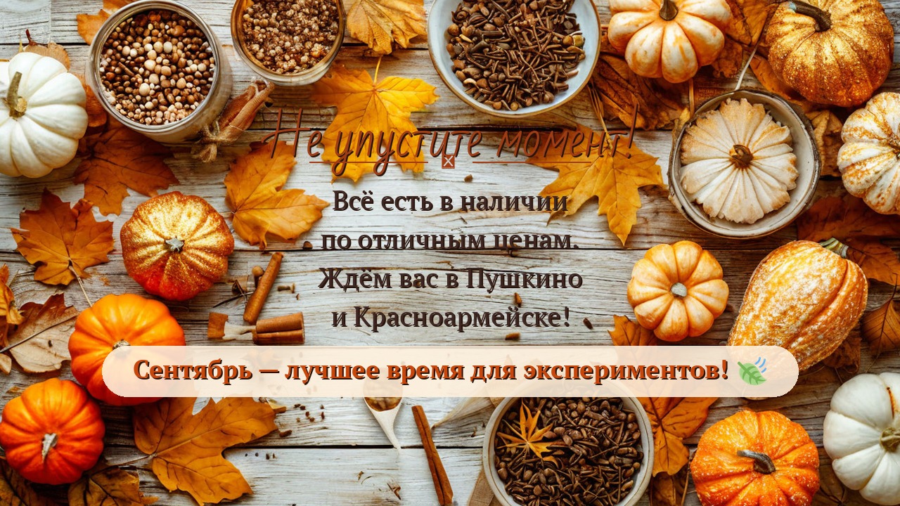 Glazur September banner